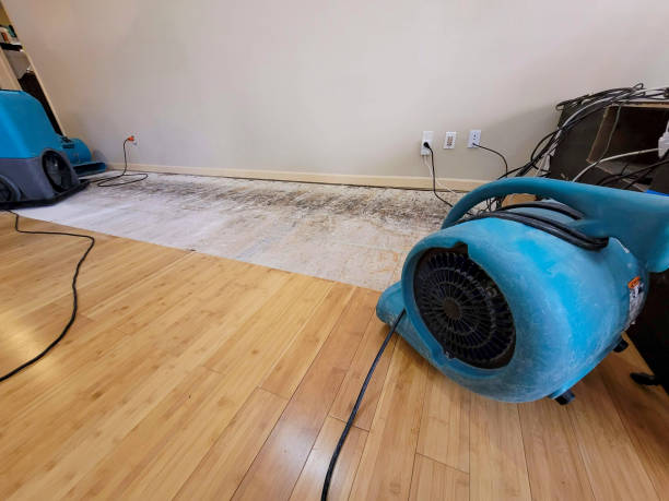 Professional Water Extraction technician working in Fallon, NV